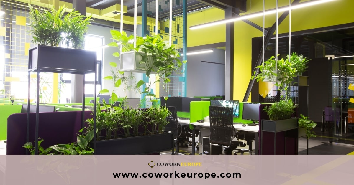 green-office-5-key-elements-sustainable-workspace